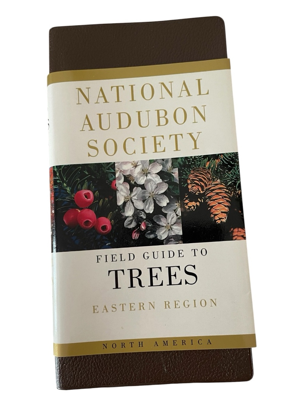 National Audubon Society Field Guide to Trees.Eastern Region Knoph 2008 Edition
